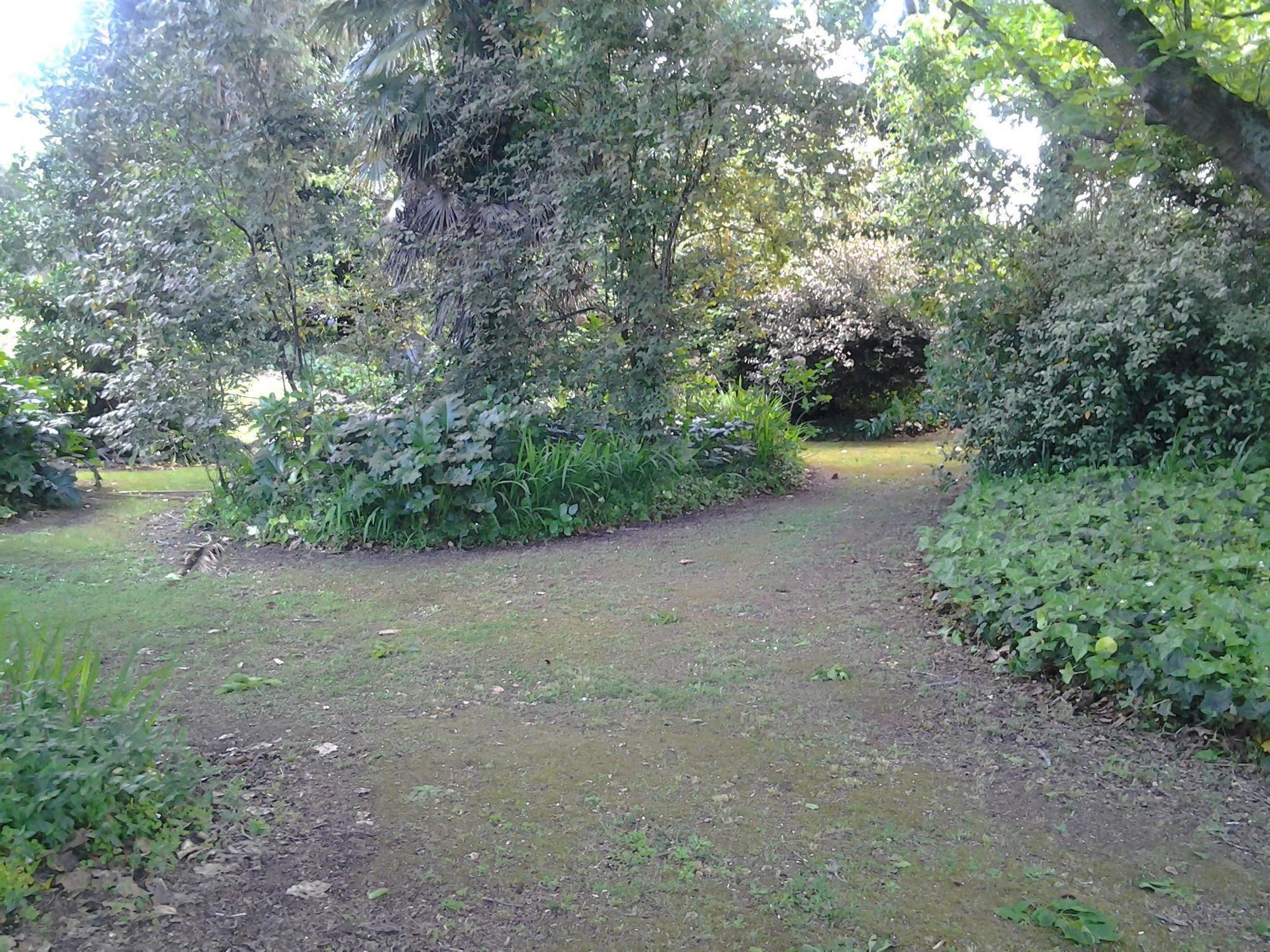 Hikurangi Stayplace Уонгануи Экстерьер фото